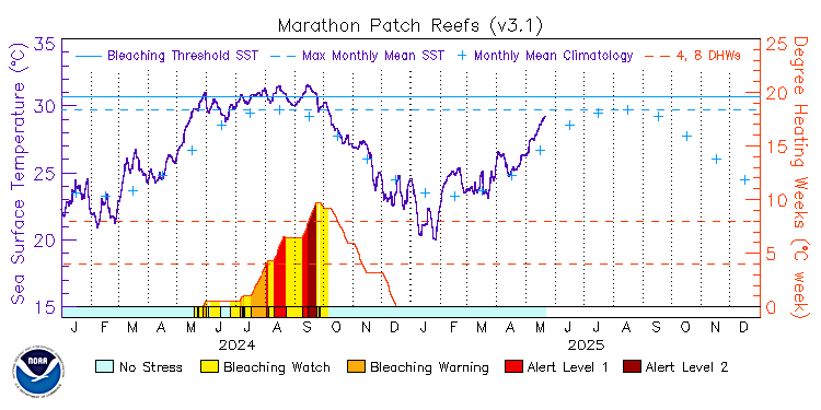 current SST time series