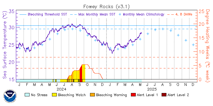 current SST time series