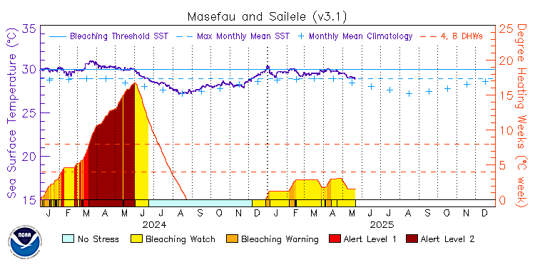 current SST time series