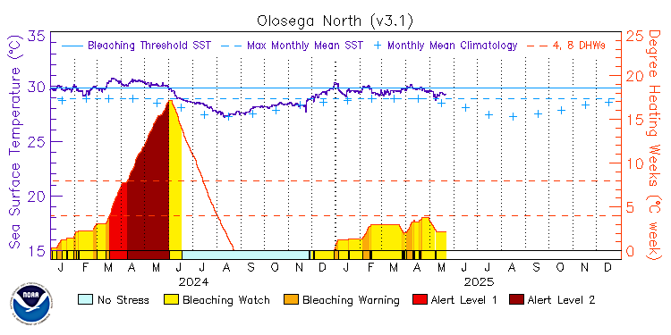 current SST time series