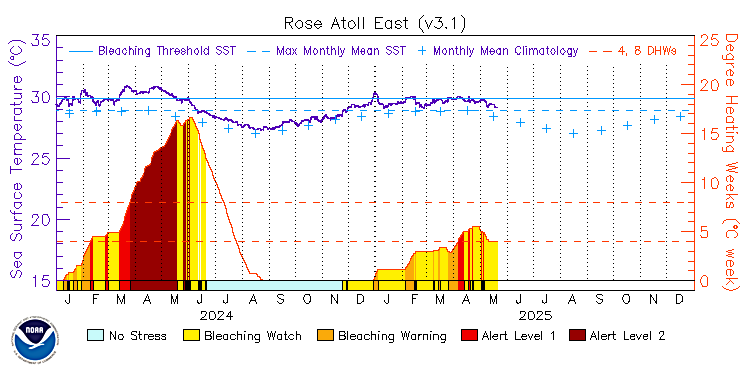 current SST time series