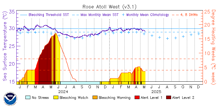 current SST time series