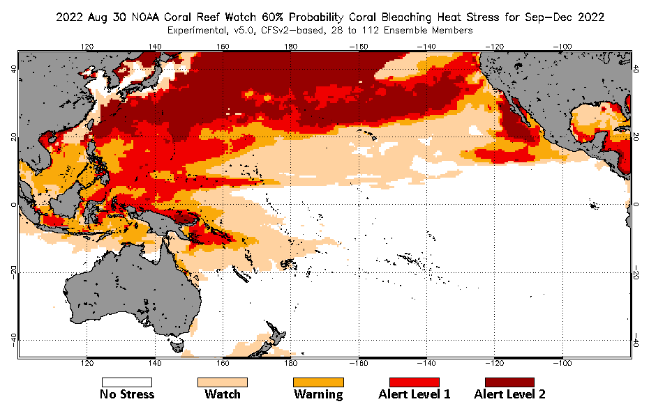 2022 Aug 30 Four-Month Bleaching Outlook map for the Pacific Ocean