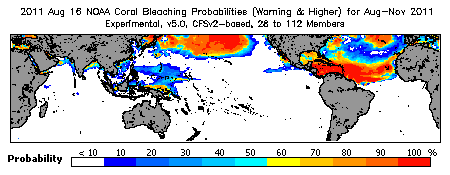 Current Bleaching Heat Stress Outlook Probability - Warning and higher