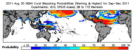 Current Bleaching Heat Stress Outlook Probability - Warning and higher