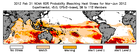 Bleaching Outlook - 60% probability