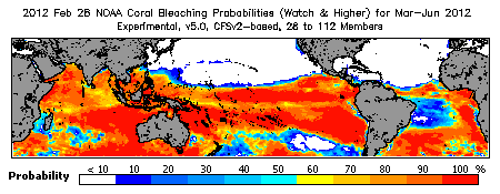 Current Bleaching Heat Stress Outlook Probability - Watch and higher