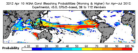 Current Bleaching Heat Stress Outlook Probability - Warning and higher