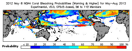 Current Bleaching Heat Stress Outlook Probability - Warning and higher