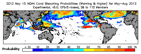 Current Bleaching Heat Stress Outlook Probability - Warning and higher