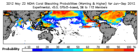 Current Bleaching Heat Stress Outlook Probability - Warning and higher