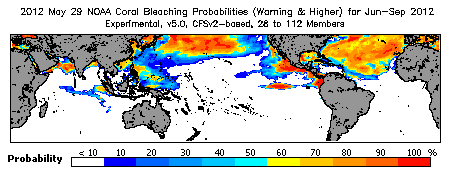 Current Bleaching Heat Stress Outlook Probability - Warning and higher