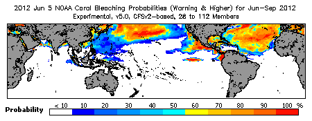 Current Bleaching Heat Stress Outlook Probability - Warning and higher