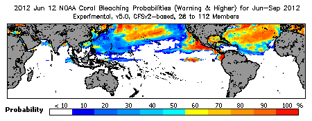 Current Bleaching Heat Stress Outlook Probability - Warning and higher