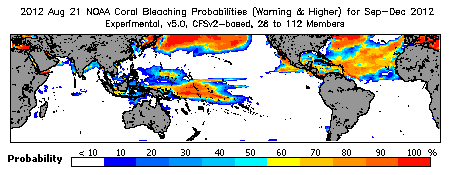 Current Bleaching Heat Stress Outlook Probability - Warning and higher