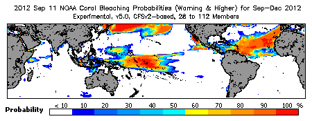 Current Bleaching Heat Stress Outlook Probability - Warning and higher