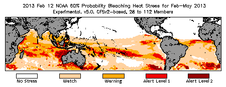 Bleaching Outlook - 60% probability