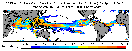 Current Bleaching Heat Stress Outlook Probability - Warning and higher