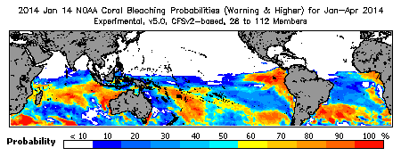 Current Bleaching Heat Stress Outlook Probability - Warning and higher