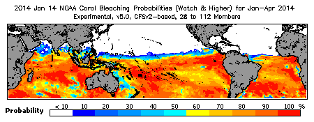 Current Bleaching Heat Stress Outlook Probability - Watch and higher