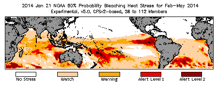 Bleaching Outlook - 60% probability