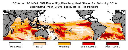 Bleaching Outlook - 60% probability