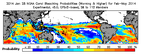 Current Bleaching Heat Stress Outlook Probability - Warning and higher