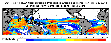 Current Bleaching Heat Stress Outlook Probability - Warning and higher