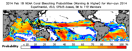 Current Bleaching Heat Stress Outlook Probability - Warning and higher