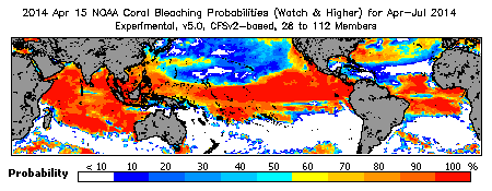 Current Bleaching Heat Stress Outlook Probability - Watch and higher