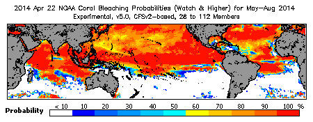 Current Bleaching Heat Stress Outlook Probability - Watch and higher