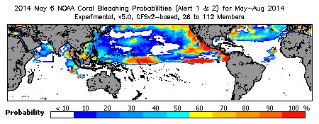 Current Bleaching Heat Stress Outlook Probability - Alert Levels 1 and 2