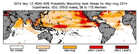 Bleaching Outlook - 60% probability