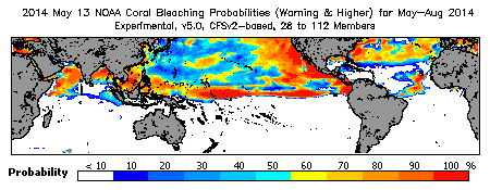 Current Bleaching Heat Stress Outlook Probability - Warning and higher