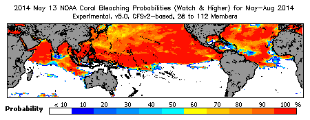 Current Bleaching Heat Stress Outlook Probability - Watch and higher