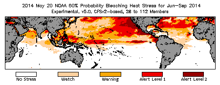 Bleaching Outlook - 60% probability