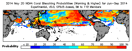 Current Bleaching Heat Stress Outlook Probability - Warning and higher