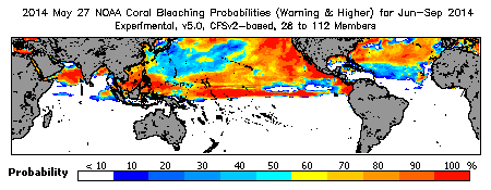 Current Bleaching Heat Stress Outlook Probability - Warning and higher