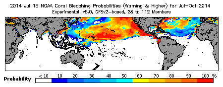 Current Bleaching Heat Stress Outlook Probability - Warning and higher