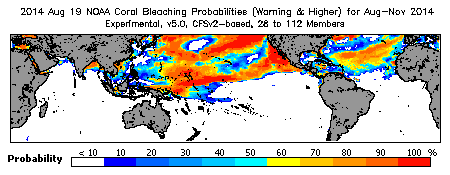 Current Bleaching Heat Stress Outlook Probability - Warning and higher