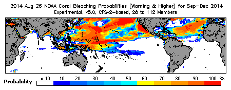 Current Bleaching Heat Stress Outlook Probability - Warning and higher