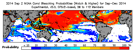 Current Bleaching Heat Stress Outlook Probability - Watch and higher