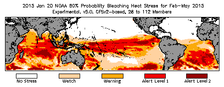 Bleaching Outlook - 60% probability