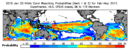 Current Bleaching Heat Stress Outlook Probability - Alert Levels 1 and 2