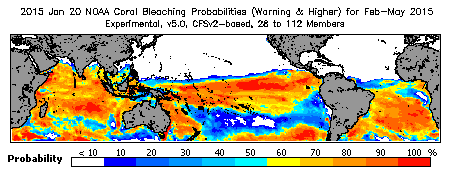 Current Bleaching Heat Stress Outlook Probability - Warning and higher