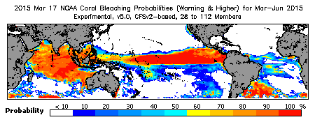 Current Bleaching Heat Stress Outlook Probability - Warning and higher