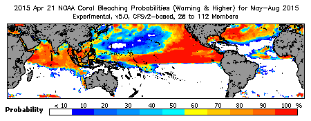 Current Bleaching Heat Stress Outlook Probability - Warning and higher