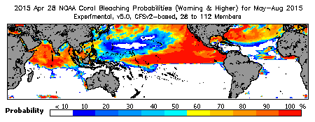 Current Bleaching Heat Stress Outlook Probability - Warning and higher