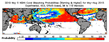 Current Bleaching Heat Stress Outlook Probability - Warning and higher