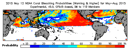 Current Bleaching Heat Stress Outlook Probability - Warning and higher